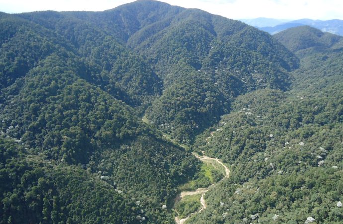 Radiografía del patrimonio natural de los opitas