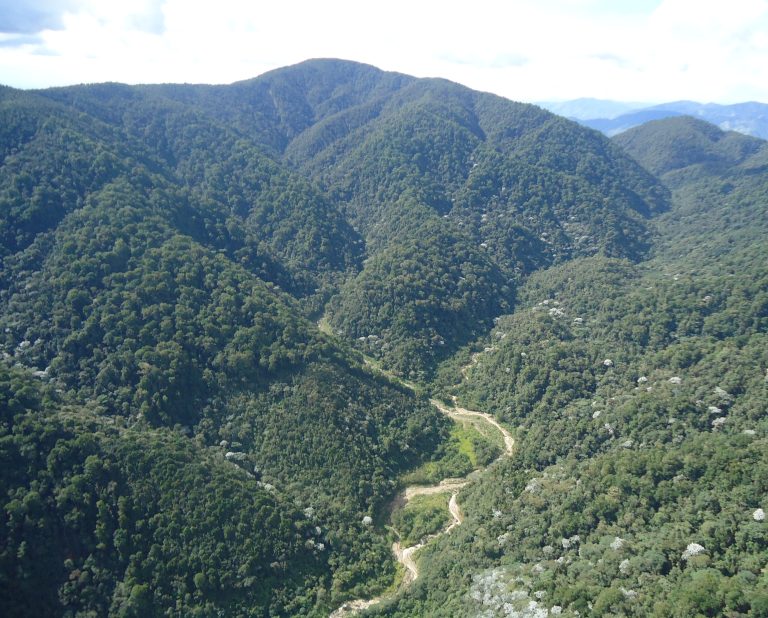 Radiografía del patrimonio natural de los opitas
