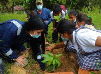Vincular la escuela con el entorno productivo