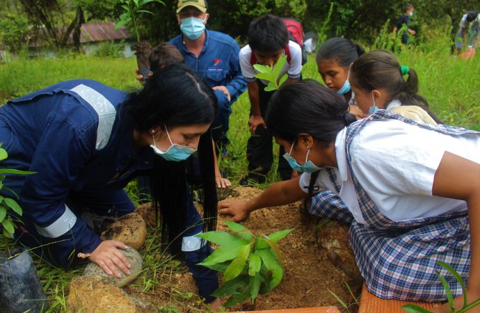 Vincular la escuela con el entorno productivo