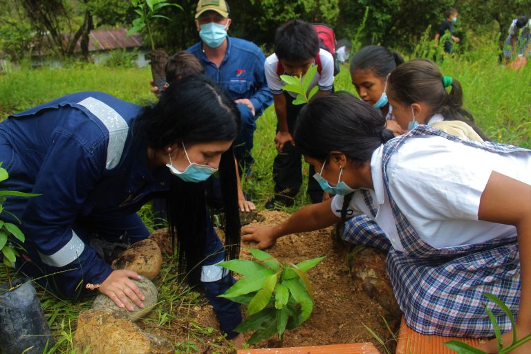 Vincular la escuela con el entorno productivo