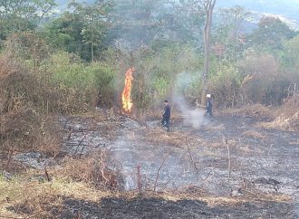 Alerta por aumento de incendios forestales
