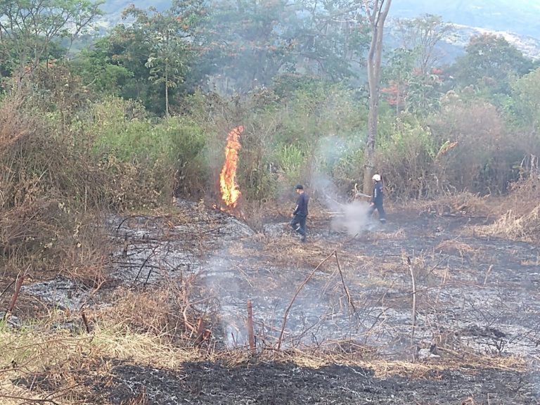 Alerta por aumento de incendios forestales