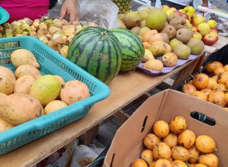 ¿Peligra abastecimiento de alimentos por fenómeno de El Niño?