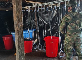 Contundente golpe al narcotráfico en Huila