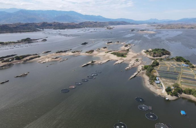 S.O.S. por embalse de Betania en encuentro del sector piscícola del Huila