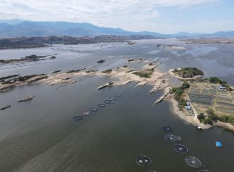 Productores piscícolas del Huila en alerta por Fenómeno de El Niño
