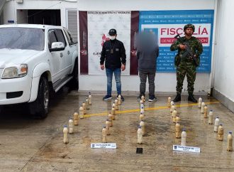 Desestabilizan finanzas de grupos armados ilegales: decomisan coca en Pitalito