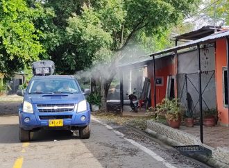 «Fumigación no es la solución para eliminar el dengue»