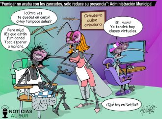 «Fumigar no acaba con los zancudos, sólo reduce su presencia»: Administración Municipal