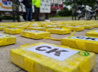 Decomisan 559 kilos de clorhidrato de cocaína en La Plata