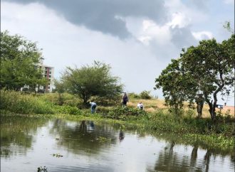 Impactos del fenómeno de El Niño: decisiones tardías en lugar de preventivas