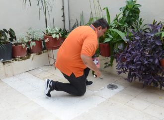 Reportan 3.800 casos de dengue en Neiva