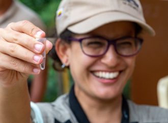 Huila, la casa de nuevas especies de abejas silvestres