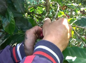 Juventudes Rurales: los desafíos en el Día del Campesino