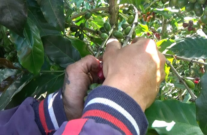 Juventudes Rurales: los desafíos en el Día del Campesino