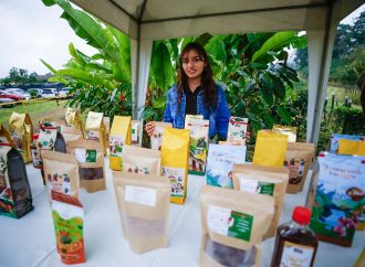 El cacao, tilapia y café impulsan exportaciones en Huila