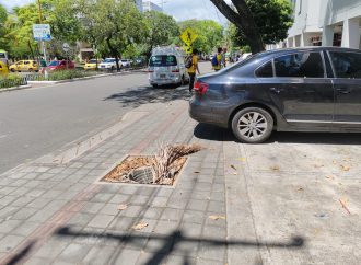 Denuncia ciudadana: hueco en zona peatonal