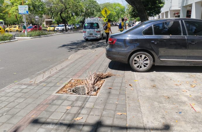 Denuncia ciudadana: hueco en zona peatonal