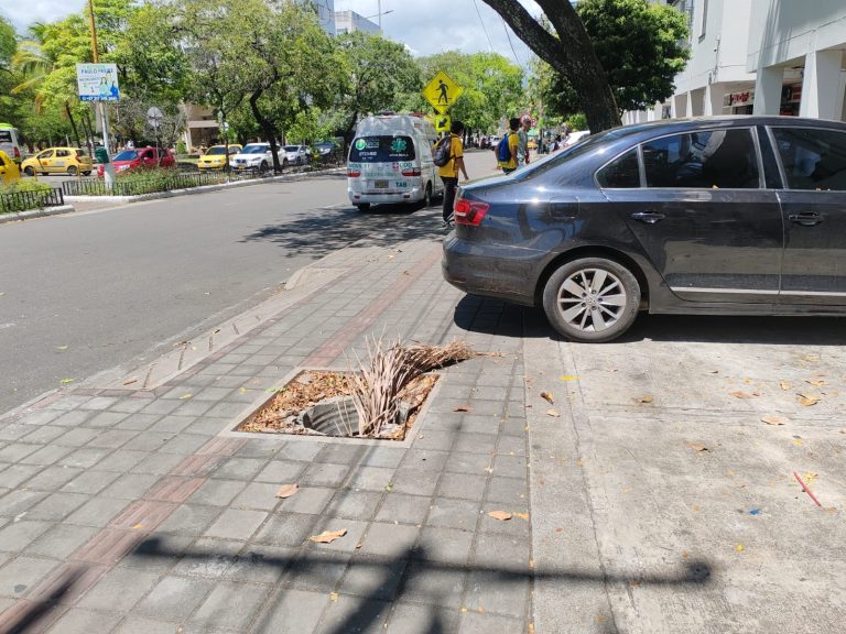Denuncia ciudadana: hueco en zona peatonal