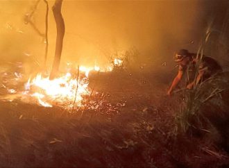 Aumento preocupante de incendios forestales