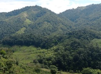 Corredor Andino Amazónico, una de las zonas más biodiversas del Huila
