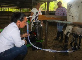 Estudio revela bajos niveles de productividad
