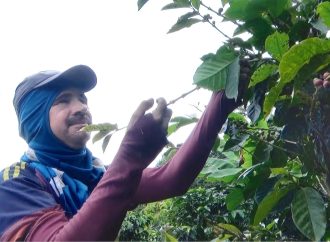 Huila: Fenómeno de “La Niña” y el riesgo agropecuario
