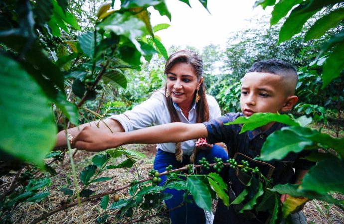 ¿Qué factores generan estrés en los trabajadores del campo?