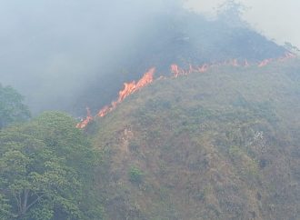 Grave incendio en la zona rural de Palermo, Huila