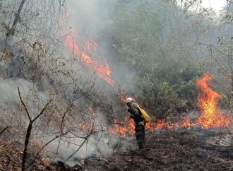 La dura lucha contra el fuego en Huila