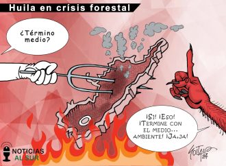 Huila en crisis forestal