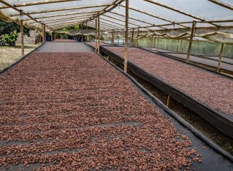 ¿Cómo fortalecer sector agropecuario del Huila?