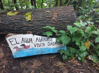Conozca el ABC de la COP16