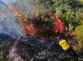 Neiva, alarmante cifra de incendios
