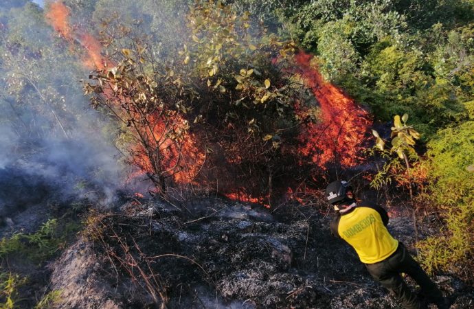 Neiva, alarmante cifra de incendios