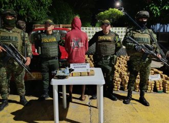 Incautan 745 kilos de marihuana en La Plata