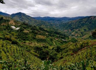 Apuestas del Huila en la COP16