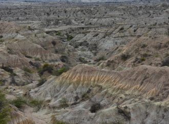 Actualizan Plan de Manejo Ambiental de La Tatacoa