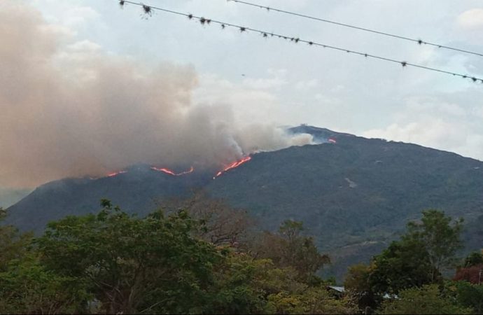 Preocupación y temor por nuevo incendio en Yaguará