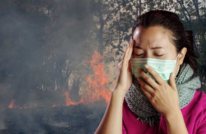 Cambio climático aumentó 12.8 % la mortalidad humana