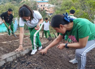 Premiados Proyectos Ambientales Escolares 2024