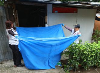 ¿Qué pasa con la leishmaniasis en Neiva?
