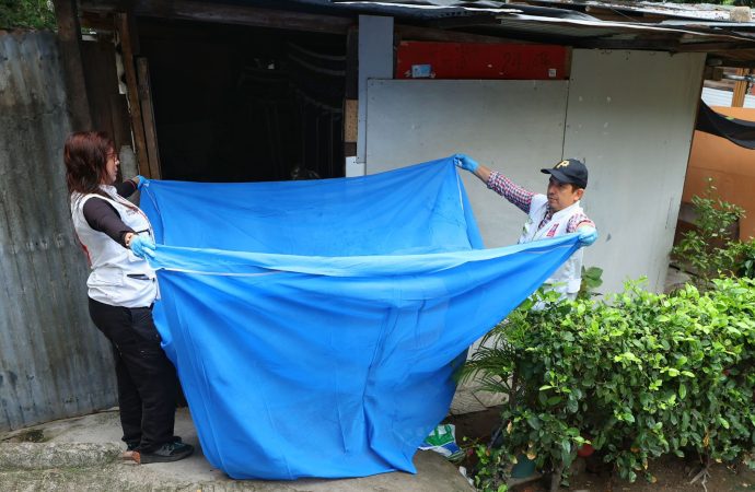 ¿Qué pasa con la leishmaniasis en Neiva?