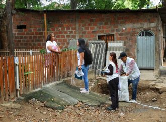 Alerta epidemiológica por fiebre amarilla en Neiva