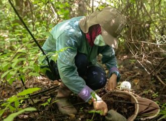 Exponen efectos del cambio climático en el bienestar de los trabajadores
