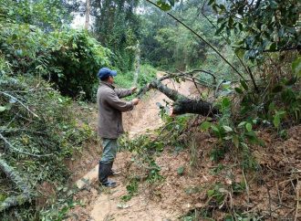 Por intensas lluvias, emergencias en municipios del Huila