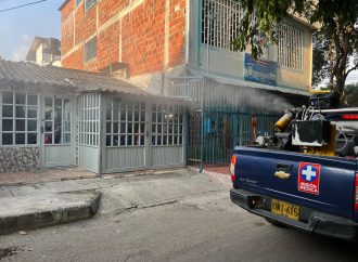 Identifican Comunas y Zonas críticas por brote de dengue en Neiva
