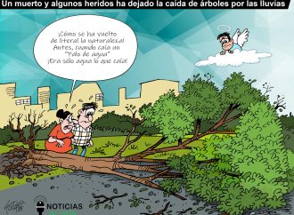 Un muerto y heridos ha dejado la caída de árboles por las lluvias