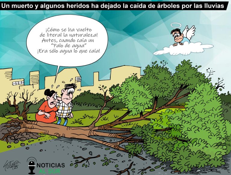 Un muerto y heridos ha dejado la caída de árboles por las lluvias